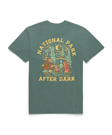 Cryptid Campfire T-Shirt Spruce