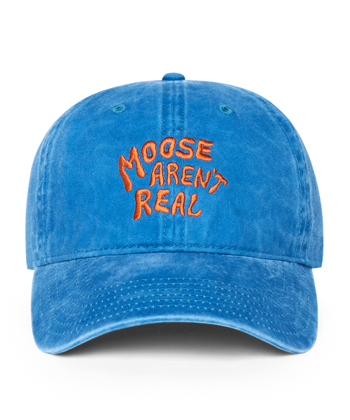 Moose Aren't Real Hat Ocean Blue – National Park After Dark