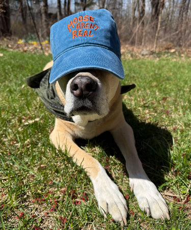 Moose Aren't Real Hat Ocean Blue