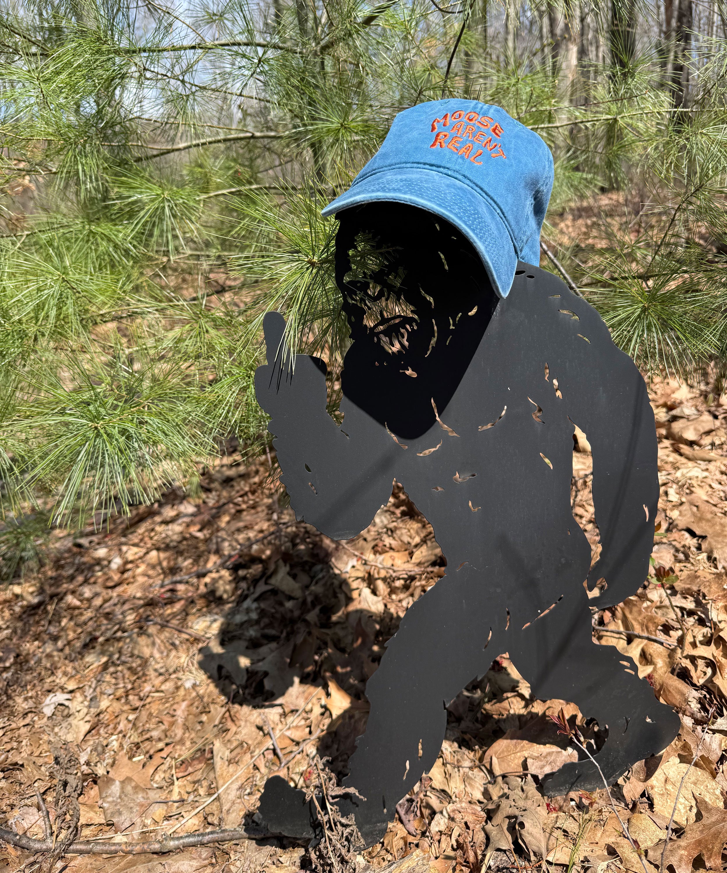 Moose Aren't Real Hat Ocean Blue – National Park After Dark